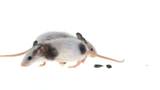 Космическое путешествие может сделать бесплодным? смотреть онлайн