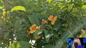 Сирота Настя оцепенела, когда мачеха выставила её из родного дома. Но спустя девять месяцев...