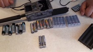 Отзыв о работе фотоловушки BolyGuard