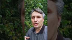 Что после просветления | Какая польза от просветления
