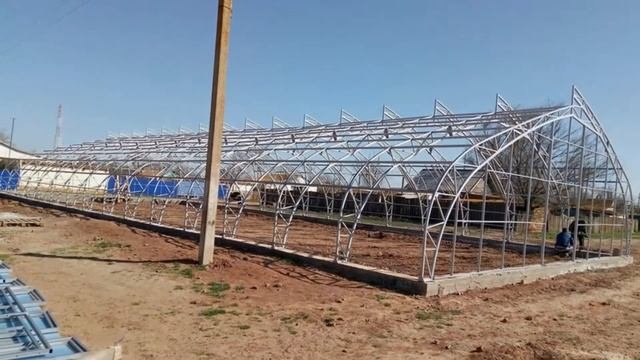 Тепличный бизнес, теплица «по Митлайдеру» 12 х 30 м.