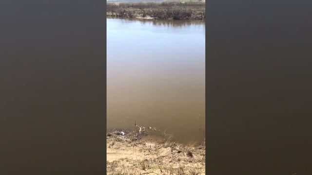 Река Мокша #рыбалка #река #россия #мордовия #nature #нарыбалке #fishing