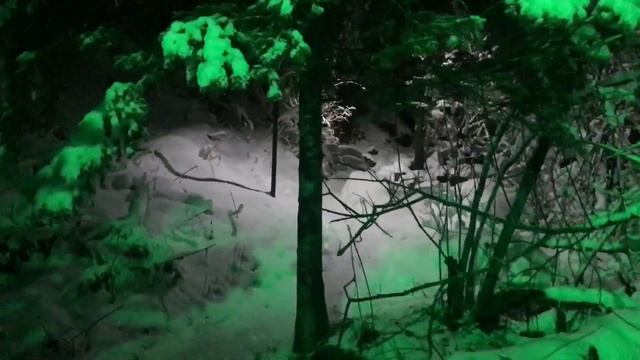 Шерегеш Телецкое 2021 смотреть онлайн