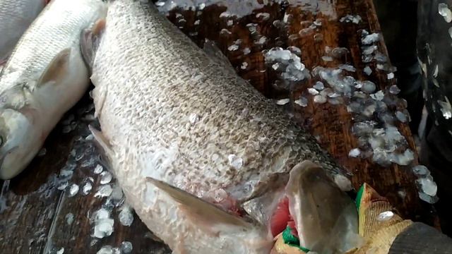 18 октября смотреть онлайн