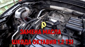 ЗАМЕНА МАСЛА ШКОДА ОКТАВИЯ А7 1.2 tsi