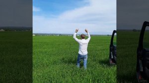 зелёное лето под песнют нелетто