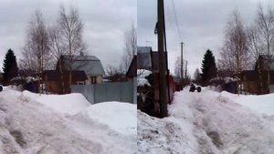 Трехколесный каракат 3D