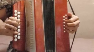 Гармошка ? детская До