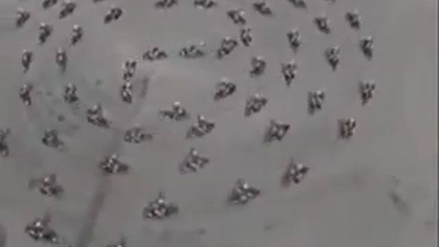 Ussr bike police, советский мотобат смотреть онлайн