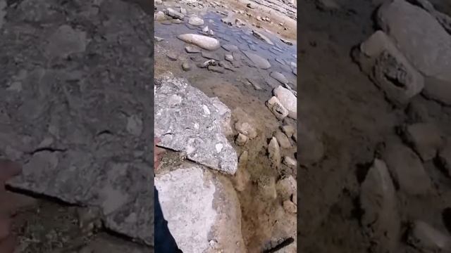 Каспийское море. Встретили Анаконду и гигантских креветок)