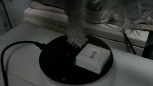 Как сделать крутящуюся электропривод-подставку для елки пихты искусственной! смотреть онлайн