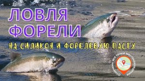 Ловим форель ? РК "Азарт" на силикон и форелевую пасту