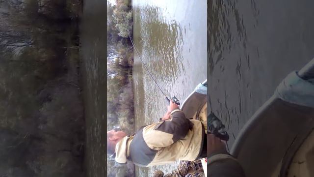 Камызякский р-он П.Кировский смотреть онлайн