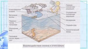 География 7 кл Кopинская §8 Жизнь в океане. Взаимодействие океана с атмосферой и сушей