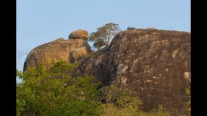 Hotel Paradise Beach Club in Mirissa (Sri Lanka Suedkueste - Sri Lanka) Bewertung und Erfahrungen
