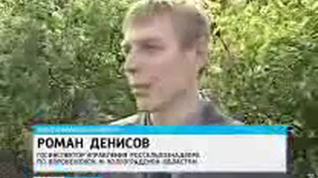 Ожог плодовых прошелся по воронежским садам смотреть онлайн