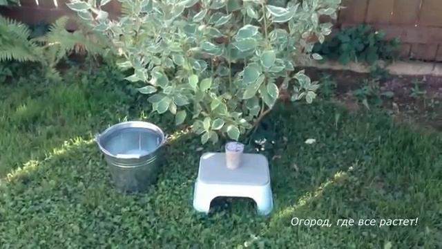 ЗОЛА- правильное применение для сада и огорода.mp4 смотреть онлайн