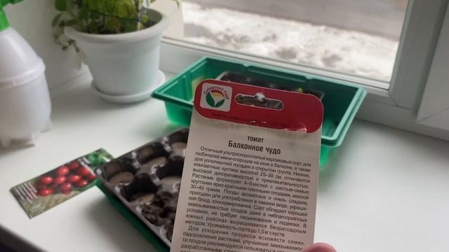 ОГОРОД НА БАЛКОНЕ 4 // #1 // НАЧАЛО СЕЗОНА! // САДИМ ПОМИДОРЫ