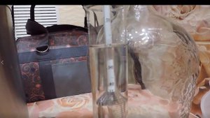 Первый перегон бражного сусла с Красноярских хмельных дрожжей