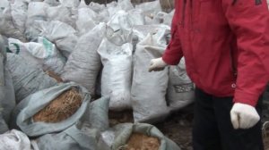 Конский навоз как органическое удобрение (1).mp4