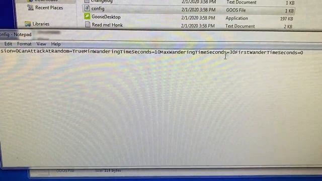 Desktop Goose Tips! for Windows! смотреть онлайн