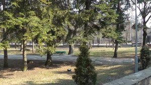 Санаторий Жемчужина Кавказа