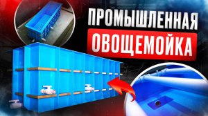 Промышленная овощемойка из полипропилена. Мойка огурцов