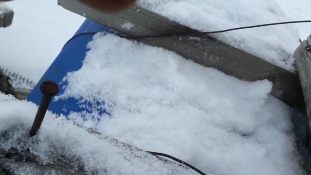 пруд Черноморец зимовка 2018г смотреть онлайн