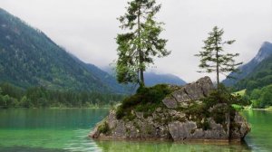 Отдай их в дет дом, мне они не нужны! - сказал муж и ушёл к любовнице, но судьба приготовила  урок
