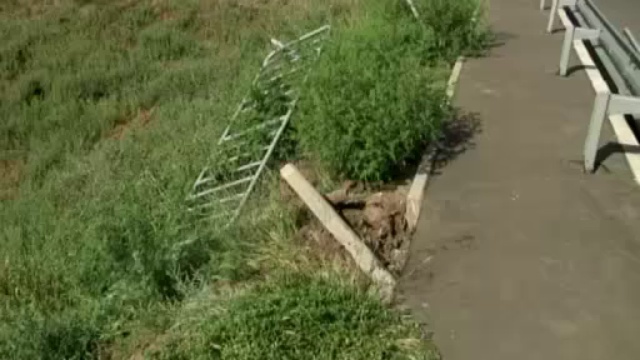 вредители