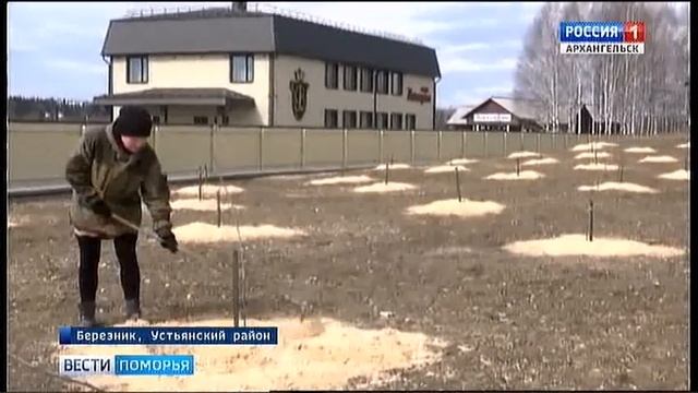 В Устьянском районе жители Березника вышли на субботник смотреть онлайн