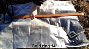 Minelab Sovereign Elite. Tornado 10" vs Nel Attack 15" vs Detech SEF 21x17"