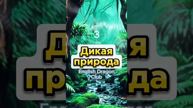 ? (74) Переведи ЭТИ СЛОВА На английский язык #английскиеслова #английский #шортс #английскийязык