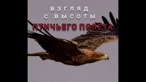 Взгляд с высоты птичьего полёта...