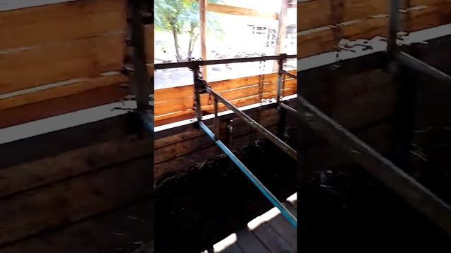 Зимнее содержание бычков (откорм)