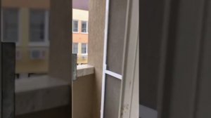 Отель River star 3* в Сочи