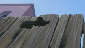 Леди и бродяга 2 (13 часть)