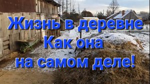 Будни в деревне.
