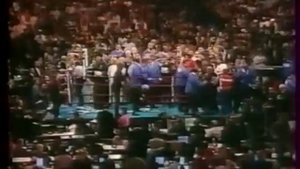Felix Trinidad Ricardo Mayorga(Вл. Гендлин ст.)Феликс Тринидад Рикардо Майорга