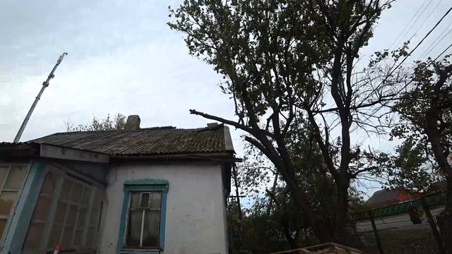 Спил веток над крышей и отремонтировал крышу