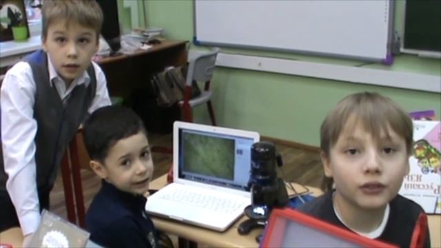 Растения под микроскопом (Липчук) смотреть онлайн