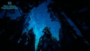 Выбор Посланника Аллаха ﷺ И страх Ангела Джабраила....