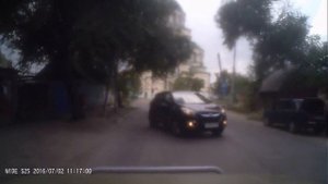 Слепошарые водятлы астрахани
