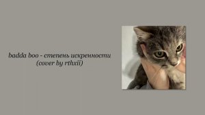 badda boo - степень искренности