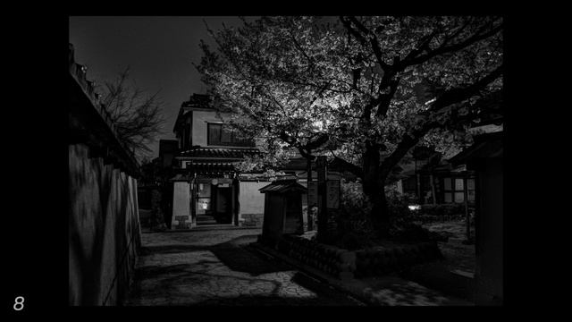 RICOH GR III (GR3) - In-camera RAW processed night street photography смотреть онлайн