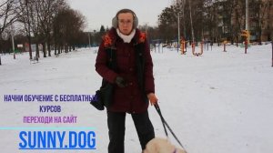 собаке 2 года как стать вожаком? Ответ на вопрос - как стать главным . что б пес слушался!