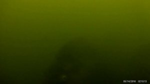 САЗАН  НА  МАКУХУ