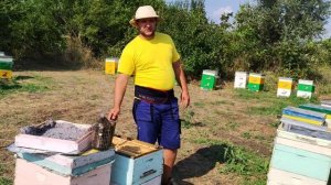 Как собираем гнезда на зиму в рутовских ульях....