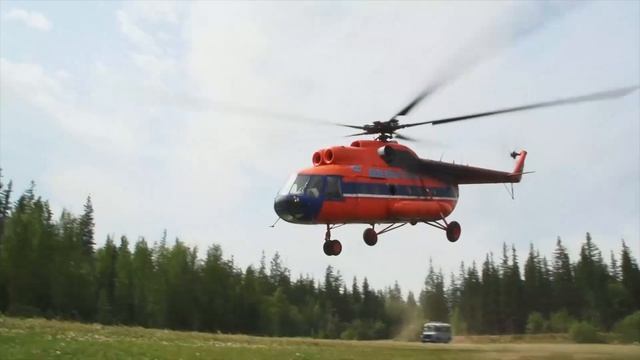 Берегите лес - 2 смотреть онлайн