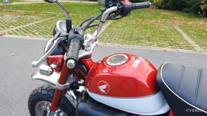 HONDA MONKEY 125 CC MODEL 2020 WALKAROUND